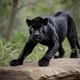 Black Panther