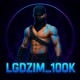 LGDZIM_100K