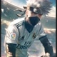 kakashi_tv