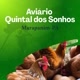 Aviário Quintal dos Sonhos