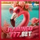 flamingo777bet