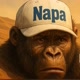 Gorila Napa