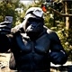 Vlog gorila
