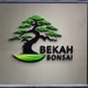 BERKAH BONSAI