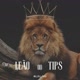 LEÃO 🦁 TIPS
