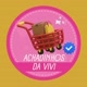 Achadinhos da Vivi