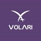 Volari