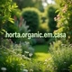 horta_ orgânica