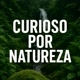 curioso por natureza