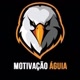 ＠MotivaçãoAguia 🦅🦅🦅