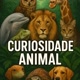 Curiosidade Animal