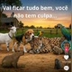 AQUI AGORA ANIMAIS  ABANDONADOS EM S