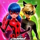 miraculous 🐞🐈‍⬛