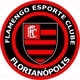 FLAMENGO TV
