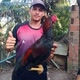 PEREIRA🐓