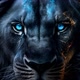 THE_LION