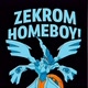 ZEKROMHOMEBOY