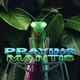 Praying Mantis