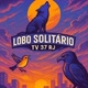 tv lobo solitário rj
