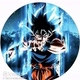 Goku 🇧🇷❗