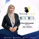 Citra HiveFive