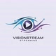 Vision Stream