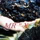 Mr "x. tobacco