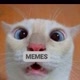 Memes