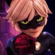 🖤~cat noir~🖤