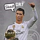 CR7👑ᴳᵒᵃᵗ🇵🇹🕊️