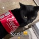 gato_pretinho