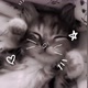 🐈‍⬛~marilu~🐈‍⬛