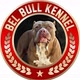 belbullkennel2023 🥰
