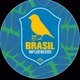 SELECAO INFLUENCIADORES 🇧🇷