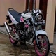 Vixion Old