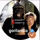 gorilandia