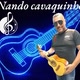 Nando cavaquinho