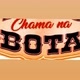 CHAMA NA BOTA🔥SERTANEJO ALEATÓRIO