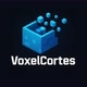Voxel Cortes