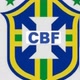 copa oficial