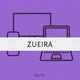 ZUEIRA DA TV