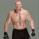 brock lesnar