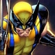 wolverine