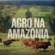 AGRO NA AMAZONIA