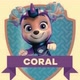 🩵💜C.O.R.A.L🩵💜🐚