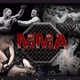 MMA FATALITY232