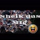 Sheik das Mtg