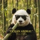 Ochan Animal