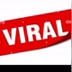 VIRAL REELS