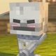 ☠️Skeleton Minecraft☠️